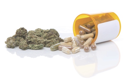 High hopes for cannabis