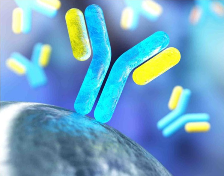 High performance magnetic beads for immunoassays