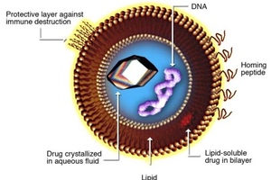 High pressure homogenisation and the next generation of drug delivery: Liposomes