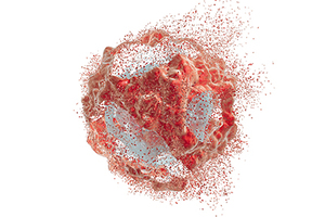 High pressure homogenisation for efficient cellular lysis