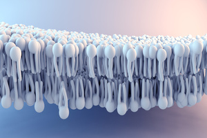 Highly reproducible & efficient phospholipid removal