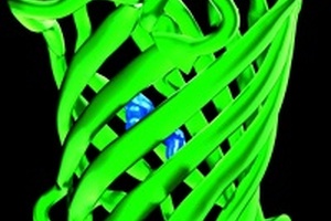 Holoxica team creates hologram of GFP structure