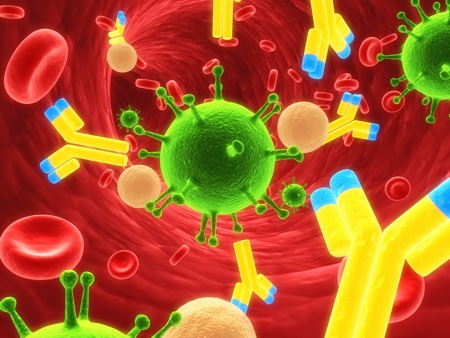Homing in on cancer targets