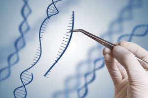 Horizon Discovery enters agreement with immuno-oncology company