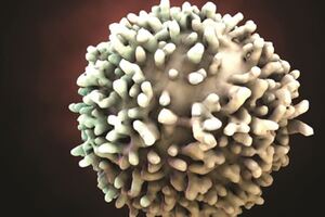 Horizon Discovery expands cell-based CRISPR screening services