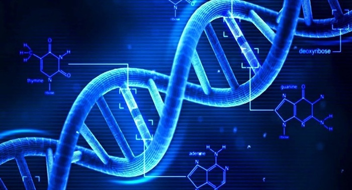 Horizon Discovery partners with Sophia Genetics on NGS reference standards for oncology applications