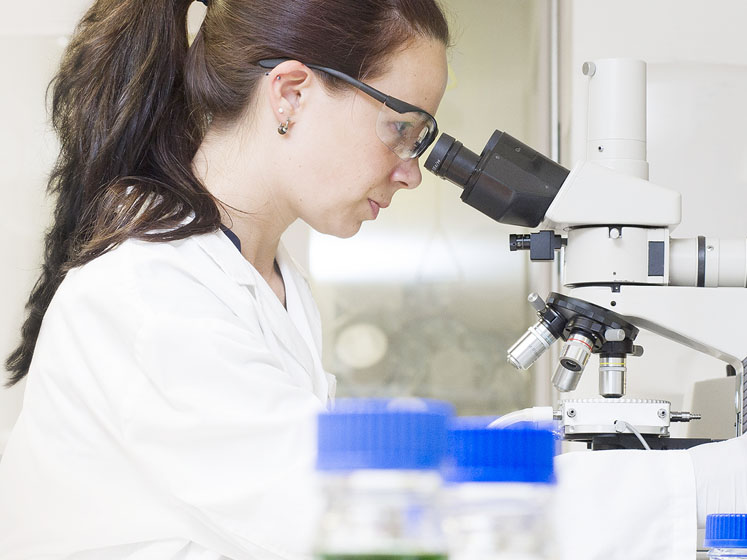 Hovione acquires ExtremoChem and its portfolio of proprietary sugars