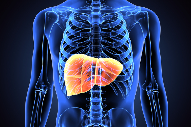 Hovione partners with Firstgene Life Sciences to advance AAV-like liver cancer treatment