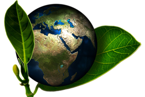 How CDMOs can set a new gold standard when it comes to going green