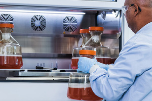 How early data drives better cell line performance