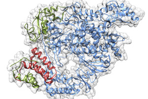 How self-replicating RNA can transform in vitro-transcribed drug development