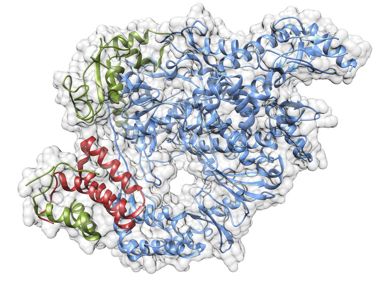 How self-replicating RNA can transform in vitro-transcribed drug development