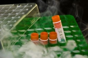 How to improve the long-term stability of PCR reagents