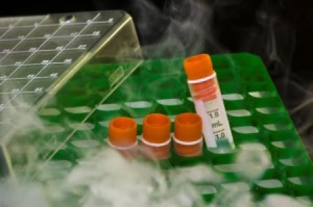 How to improve the long-term stability of PCR reagents