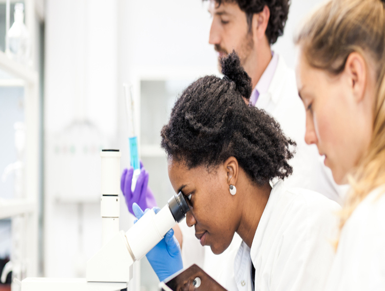 Hubrecht Institute licenses reagent antibodies for cancer research