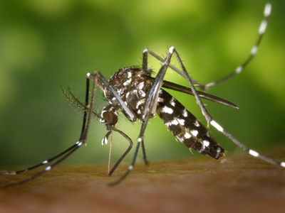 Humabs BioMed and UC Berkeley publish data for novel assay to detect Zika virus