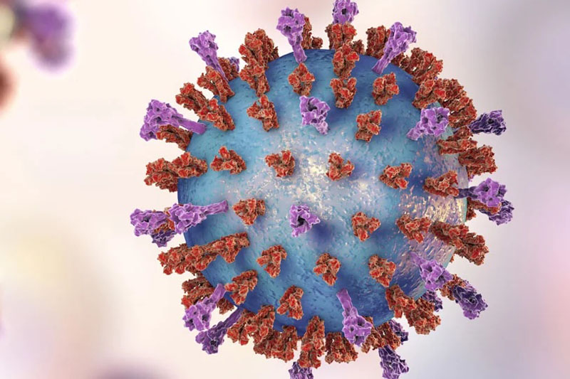 Hybrid interferons: developing a novel drug class