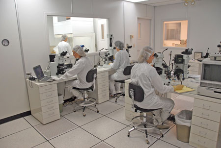 Identifying protein aggregation