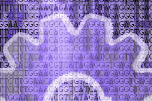 IDT appoints LubioScience as distributors in Switzerland