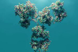 Iksuda and Femtogenix ink solid tumour agreement