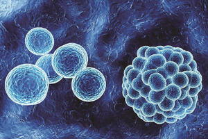 Immuno-oncology CRO secures Macrophage Pharma agreement