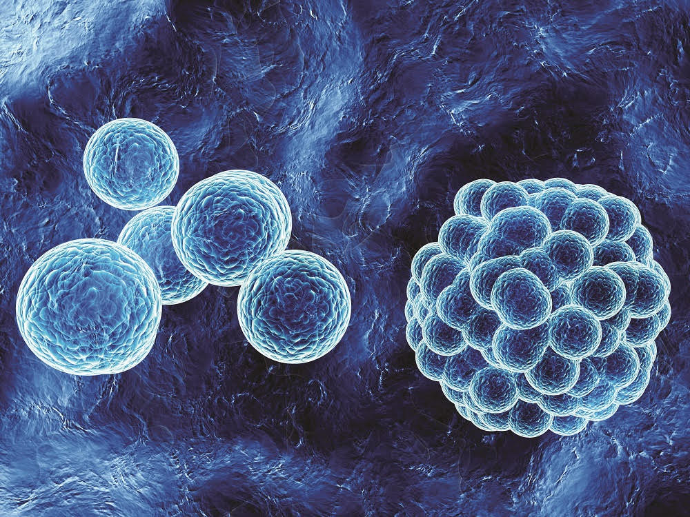 Immuno-oncology CRO secures Macrophage Pharma agreement