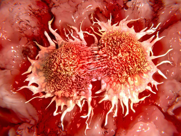 Immunotherapy: antibody drug conjugates from a small molecule perspective
