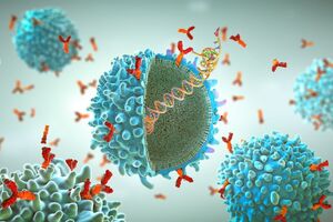 Immusoft receives FDA Fast Track Designation for ISP-001, a first-in-class engineered B cell therapy for MPS I