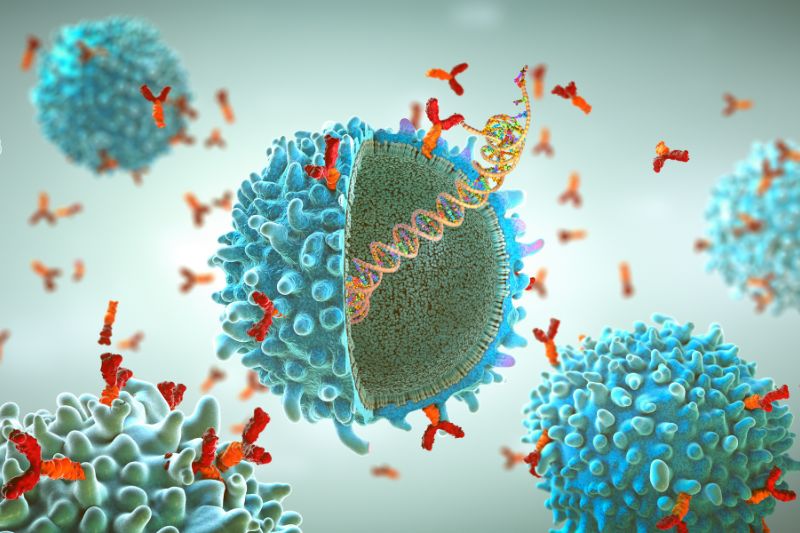 Immusoft receives FDA Fast Track Designation for ISP-001, a first-in-class engineered B cell therapy for MPS I
