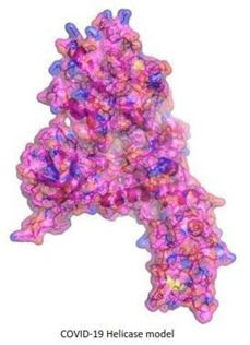Impact BioMedical looks at compounds that block coronavirus mechanisms 
