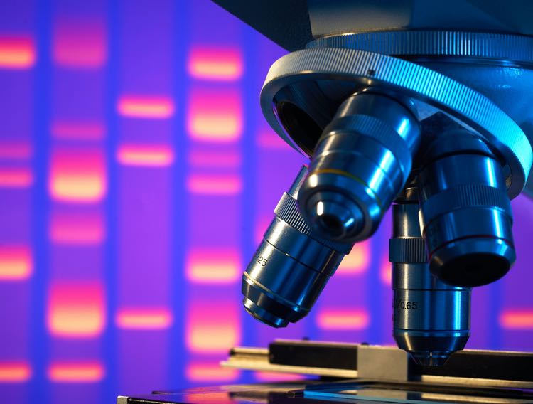 Impact BioMedical looks at compounds that block coronavirus mechanisms 