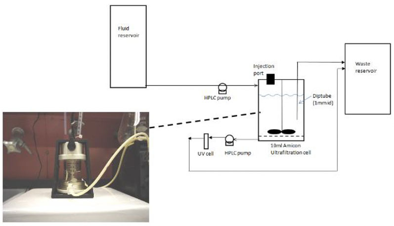 Increasing patient compliance with ion exchange excipient taste masking