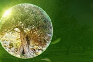 Indena reaffirms commitmment to sustainability