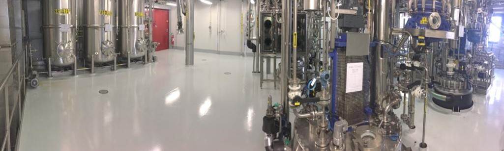 Indena’s CDMO services: a full range of capabilities, innovative equipment and professional expertise