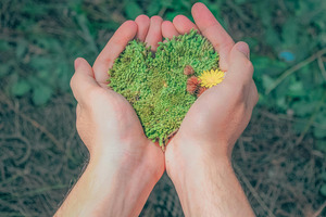 Ingenza and HydRegen collaborate to optimise biomanufacturing sustainability