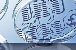 Insilico works with university on digital twins for antibody production