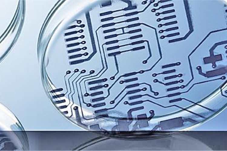 Insilico works with university on digital twins for antibody production