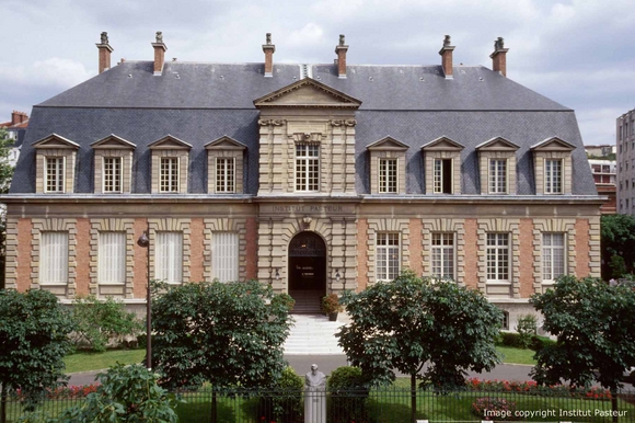 Institut Pasteur researchers characterise hydrodynamic changes in polypeptides
