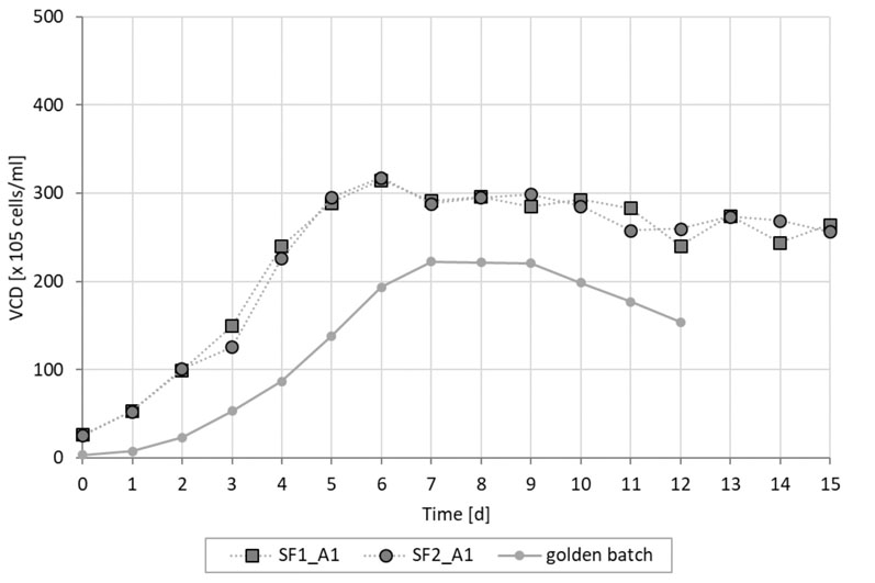 Figure 2: Viable cell density of Cellca CHO cells cultured in fed batch and intensified batch conditions (SF = simulated perfusion in shake flasks; golden batch is average fed batch trajectory)