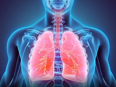 Inventiva announces exercise of option by Boehringer Ingelheim 