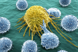 Investigating DNA repair inhibitors to treat cancer and other inflammatory diseases