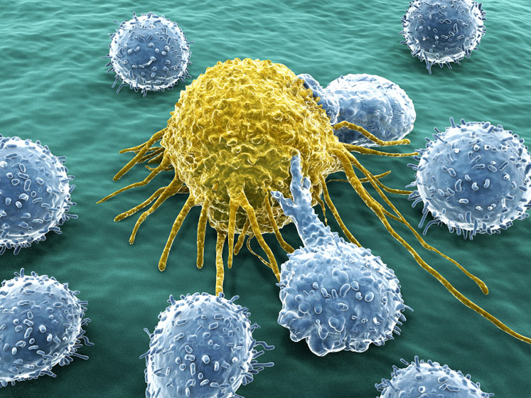 Investigating DNA repair inhibitors to treat cancer and other inflammatory diseases