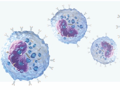 Iontas to generate antibodies using mammalian display technology
