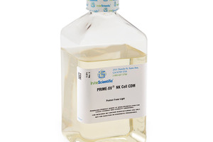 Irvine introduces NK cell expansion medium for immunotherapy and translational research applications
