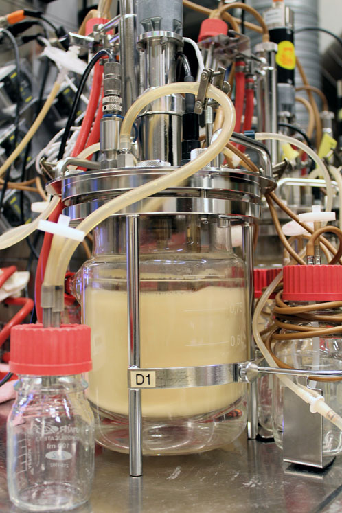 Is the production of biologic drugs ready for an overhaul?
