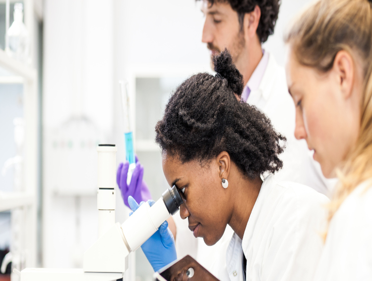 ISPE awards Sanofi facility of the year