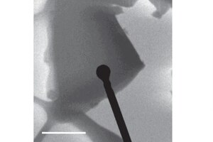Japanese collaboration pioneers NMR crystallography for drug discovery