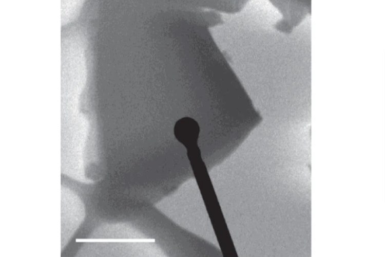 Japanese collaboration pioneers NMR crystallography for drug discovery