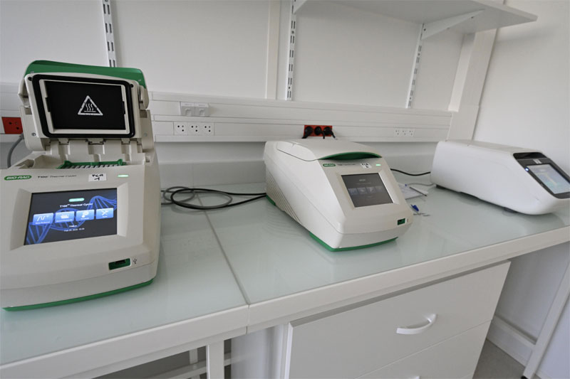 Japanese researchers report advances in liver disease treatment and cancer screening