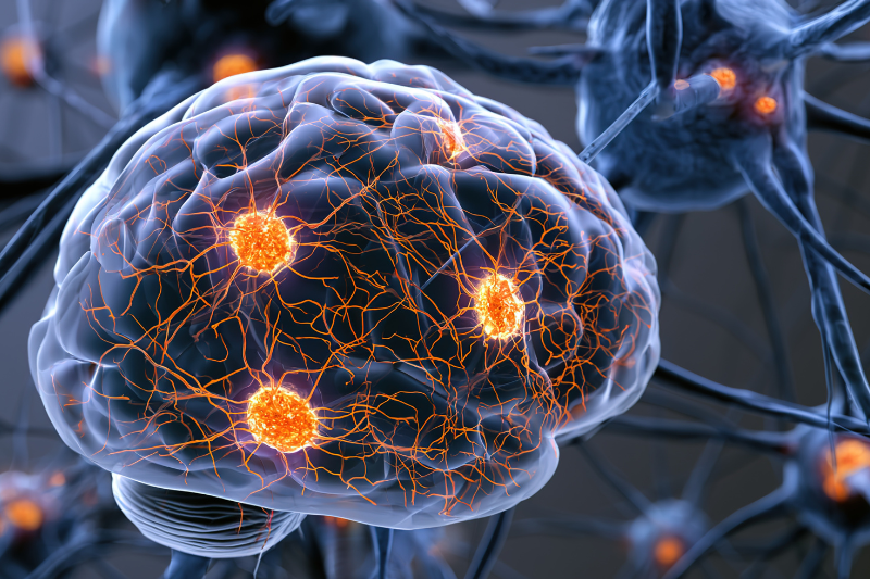 Jocasta expands UCSF α-klotho licence ahead of 2027 Phase I trial